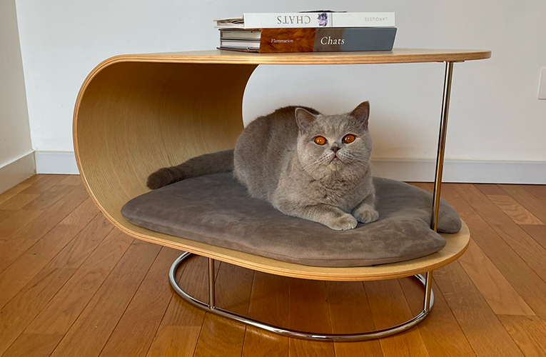 mobilier chat design