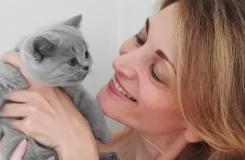 valerie mounier eleveuse de british shorthairs