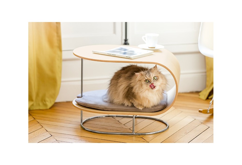Organiser les espaces de vie de votre chat