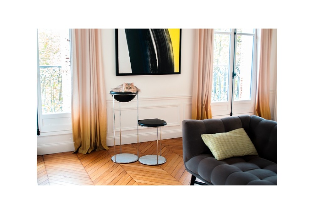 Comment occuper son chat à la maison ?
