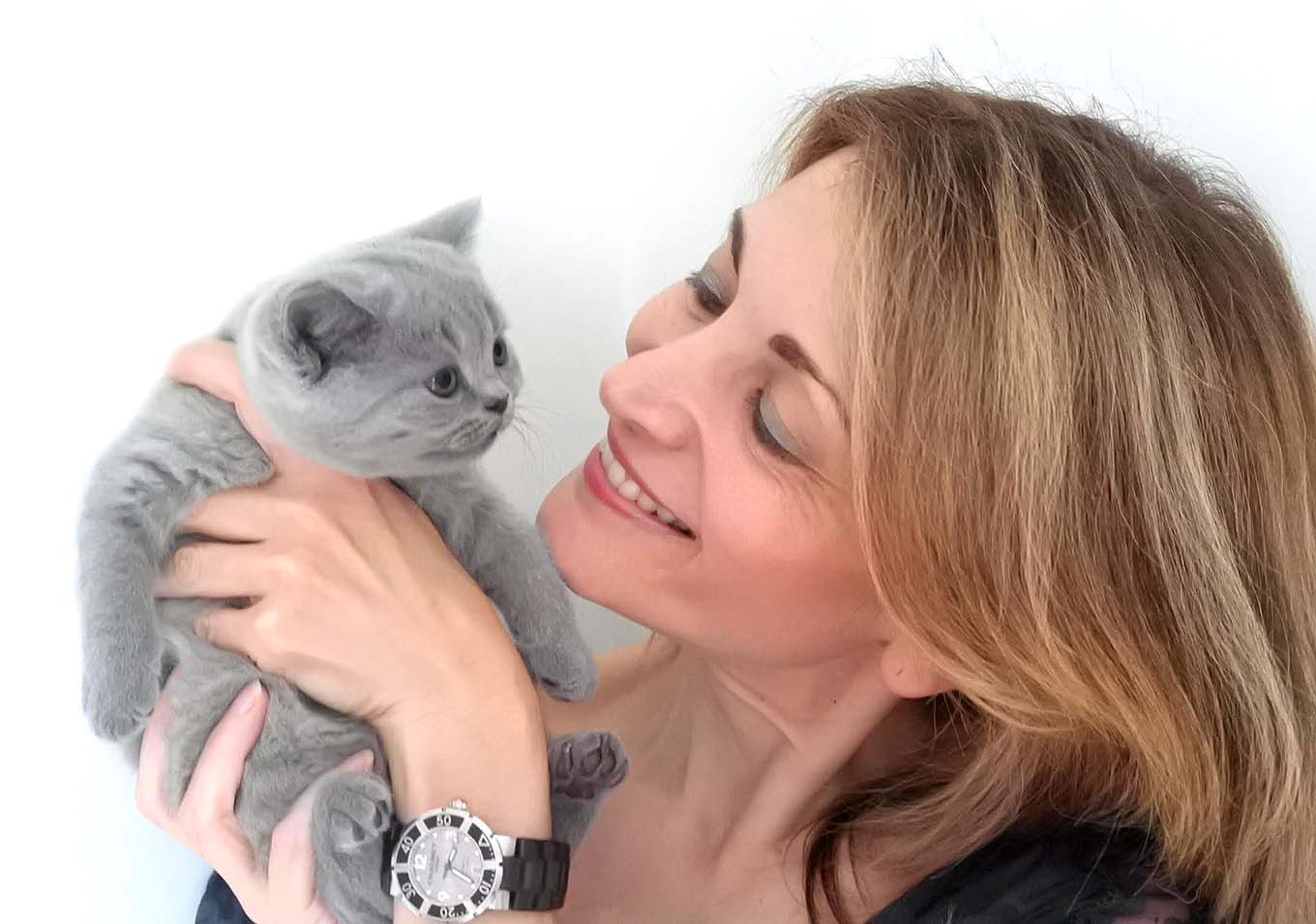 chat